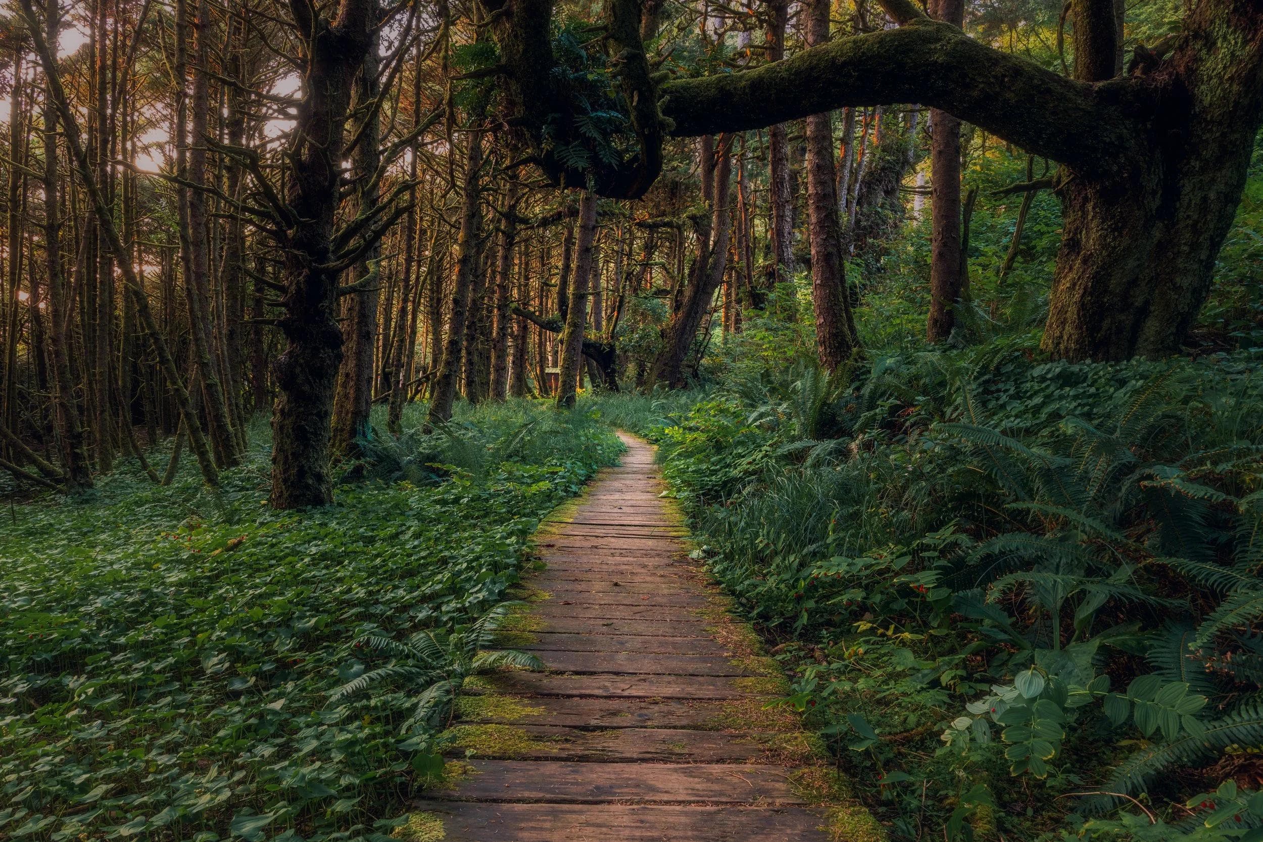 Pacific Northwest Trail